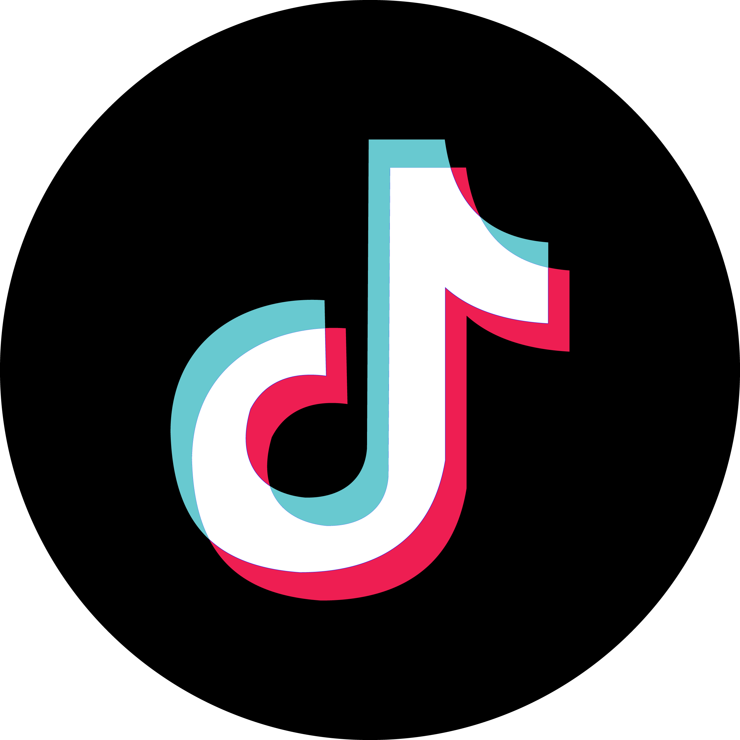 TikTok Ads